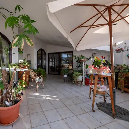 Apartment Dolfi Grand Loft Iglesias